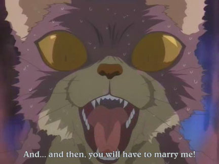 kumquat fruit fruit baskets anime kumquat fruit fruit baskets anime
